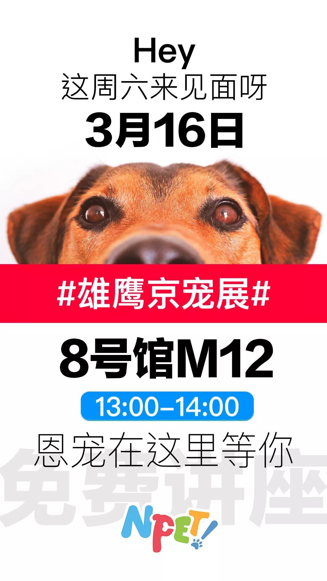 爱国带你逛crufts2019dogshow周六宠物展记得来啊