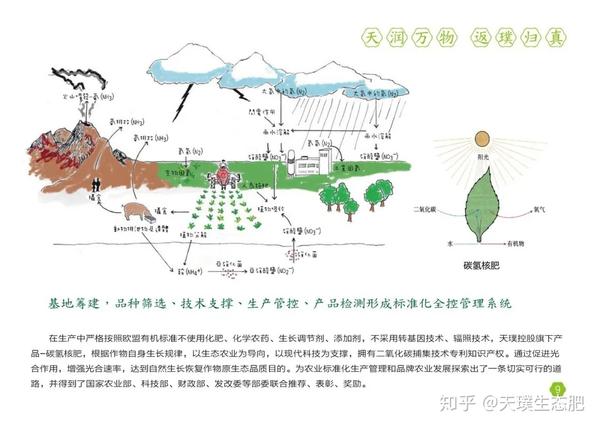 菜田土壤盐渍化问题突出,天璞20年植保经验告诉你如何