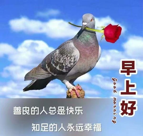 念念不忘,必有回响!