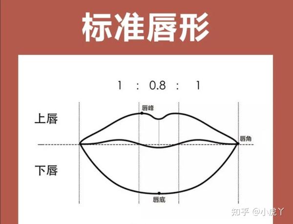 80%的女生不会正确涂口红,8种不同唇形涂法,总有一个适合你