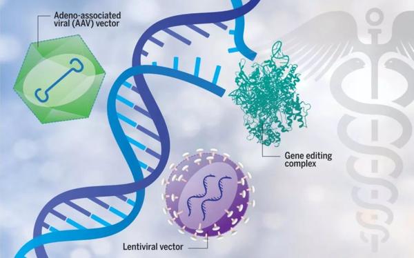 失之东隅收之桑榆张锋在crispr基因治疗疾病领域的布局