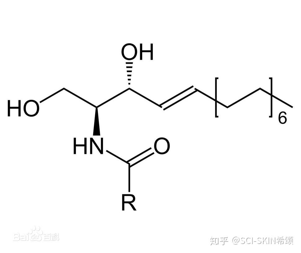 神经酰胺结构式