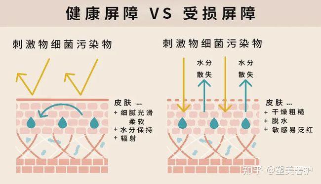 皮脂膜修复比大牌面霜还贵的是你脸上那层膜值得终身呵护