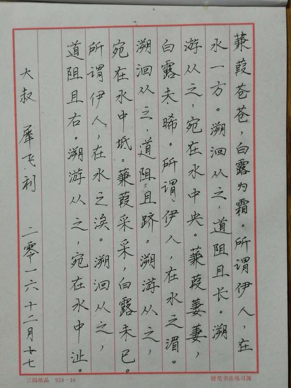 诗经《蒹葭》钢笔字笔友习作欣赏