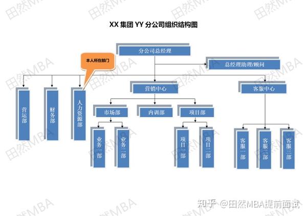 (某公司组织结构图模板)