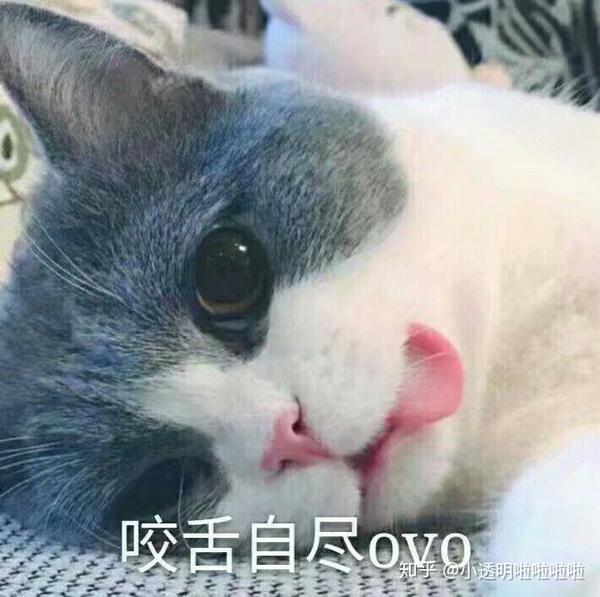 有什么适用于和老公/男票撒娇的可爱表情包?