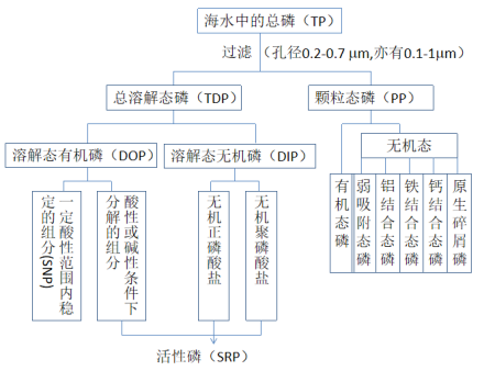 海洋生物地球化学期末资料