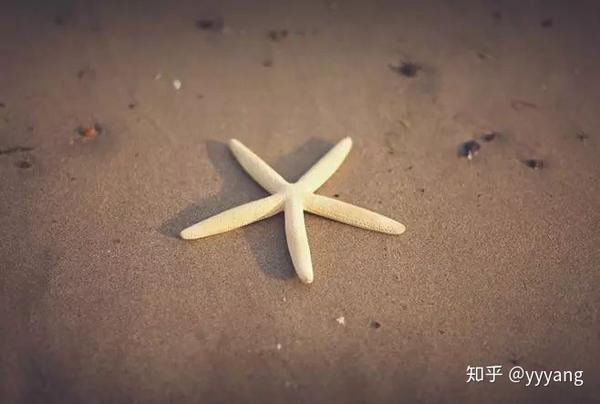 成长的疼痛,是种久治不愈的病