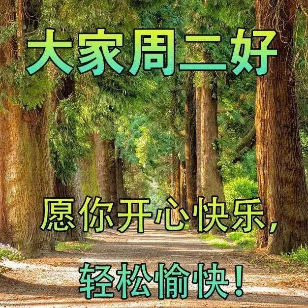 早安愉快表情包闪图周二早安问候语录短信句子祝福朋友