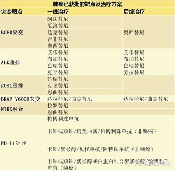 新靶点新药物新策略2020肺癌靶向治疗最新进展盘点