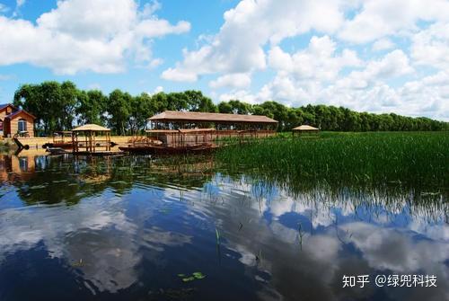 富锦湿地公园美景如画,绿袋宝取袋机助力城市生态治理