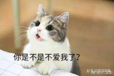有什么适用于和老公/男票撒娇的可爱表情包?