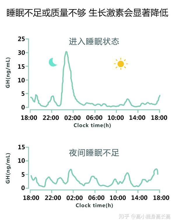 生长激素在夜间深睡眠中大量分泌,尤其是晚10点到12点间,脉冲分泌达到