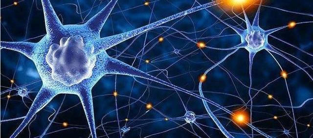 肿瘤免疫细胞治疗的飞虎队——γδt细胞治疗