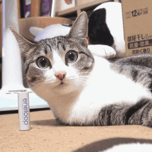 眼神与表情·恋爱脱单心理研究之释放吸引力 第19弹