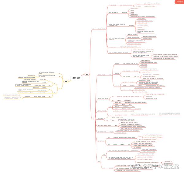 中医经典《伤寒论》思维导图笔记