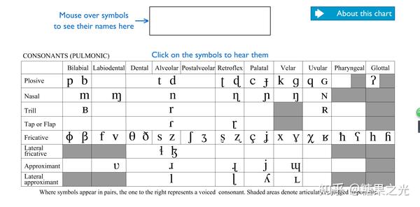 ipa音标中的consonants(pulmonic)