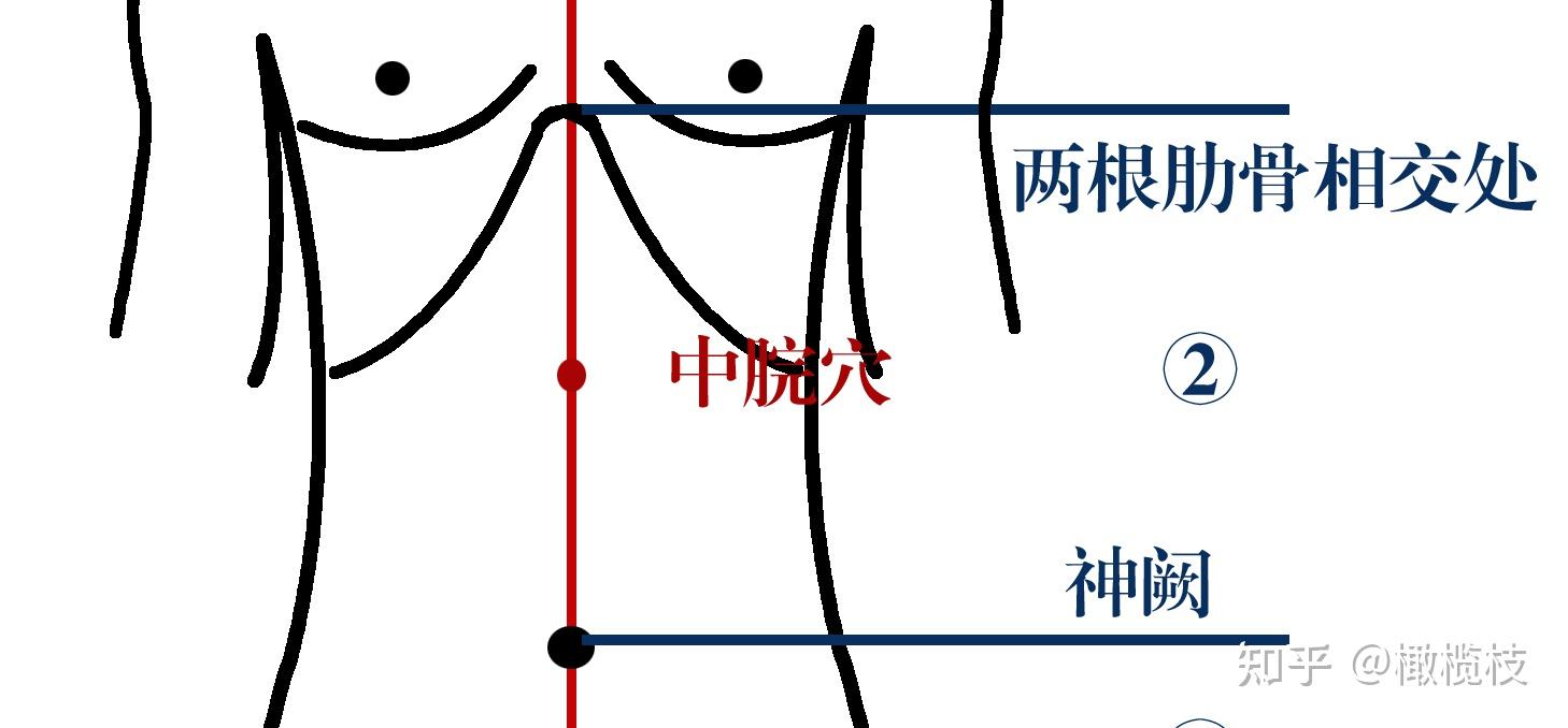 八会穴跟郄穴合并使用称为会郄治疗法则!中脘穴和神阙穴中间的穴位