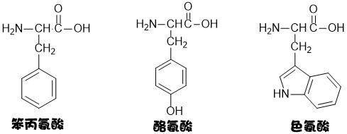 大概了解20种氨基酸有哪些吧,这是我之前关于20种氨基酸的记忆二十种