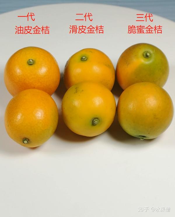 【第20篇】融安金桔,油皮金桔,滑皮金桔,脆蜜金桔的区别,金桔的做法吃
