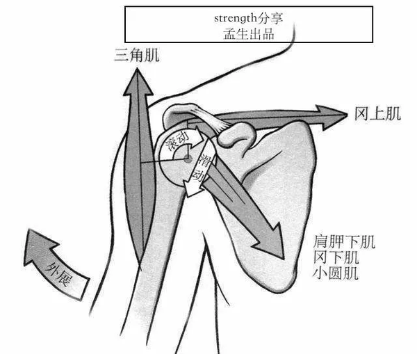 肩关节肩峰撞击综合征