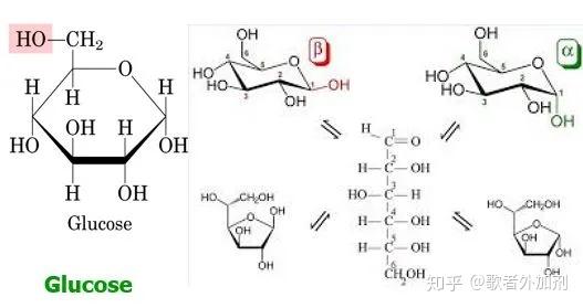 葡萄糖分子结构