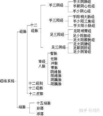 6. 新医学技术 (整理中) 7. 中医药