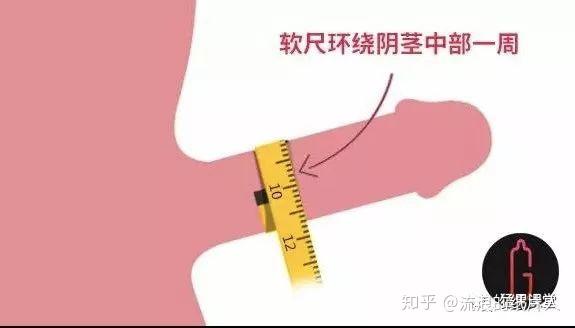 注意了:如何正确测量丁丁的尺寸