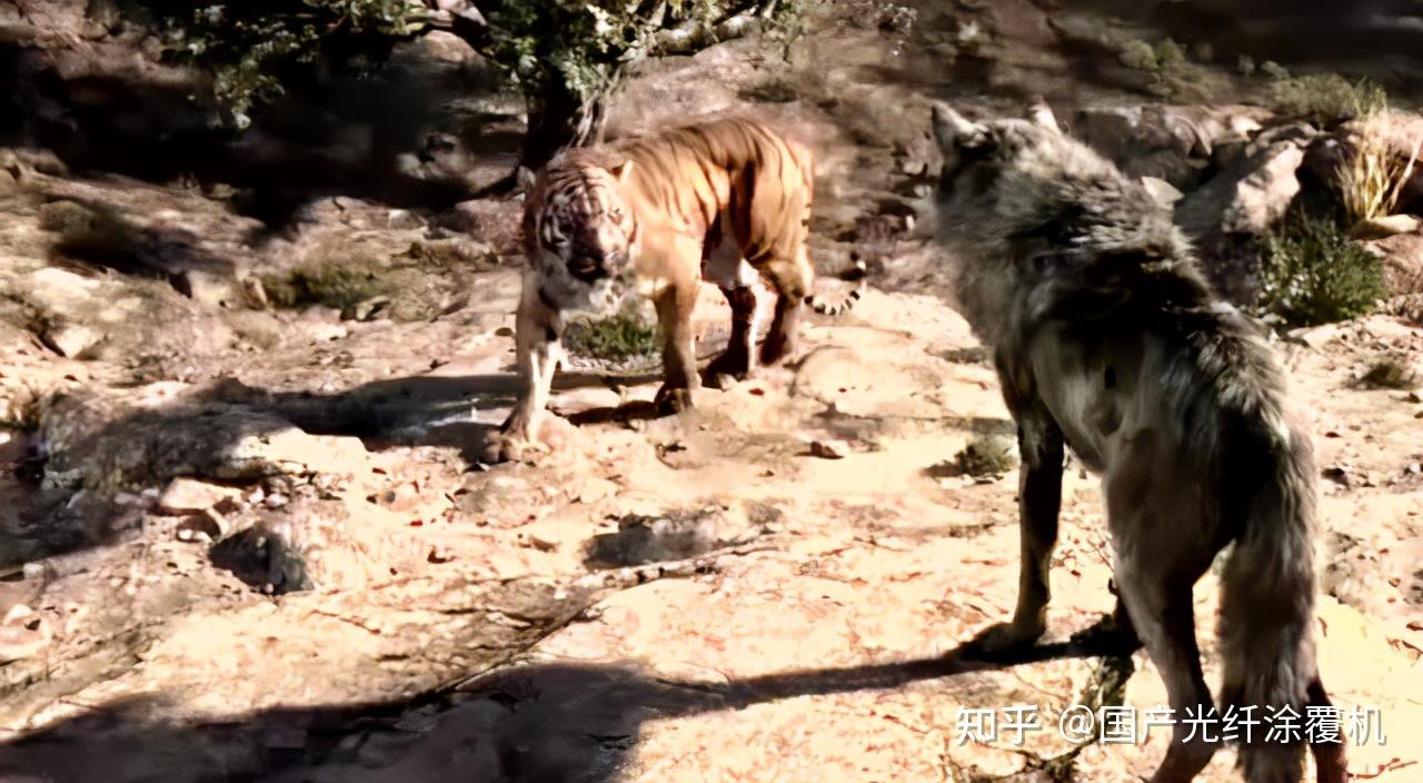 白毛狼王豹子屠杀狼穴花狗带獒犬逃离狼山狼王踏上复仇之路