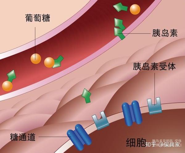 血糖高就一定是糖尿病吗保其家体检指标解读