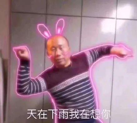 表情包 | 高飞系列
