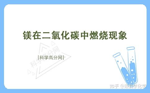 镁在二氧化碳中燃烧的现象