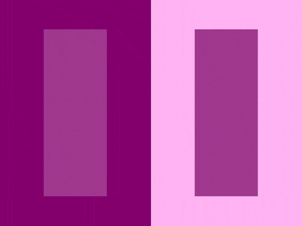 眼见为实?你被眼睛欺骗的10个真相