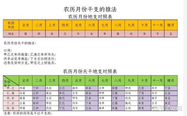 十分钟学会 天干地支 生辰八字