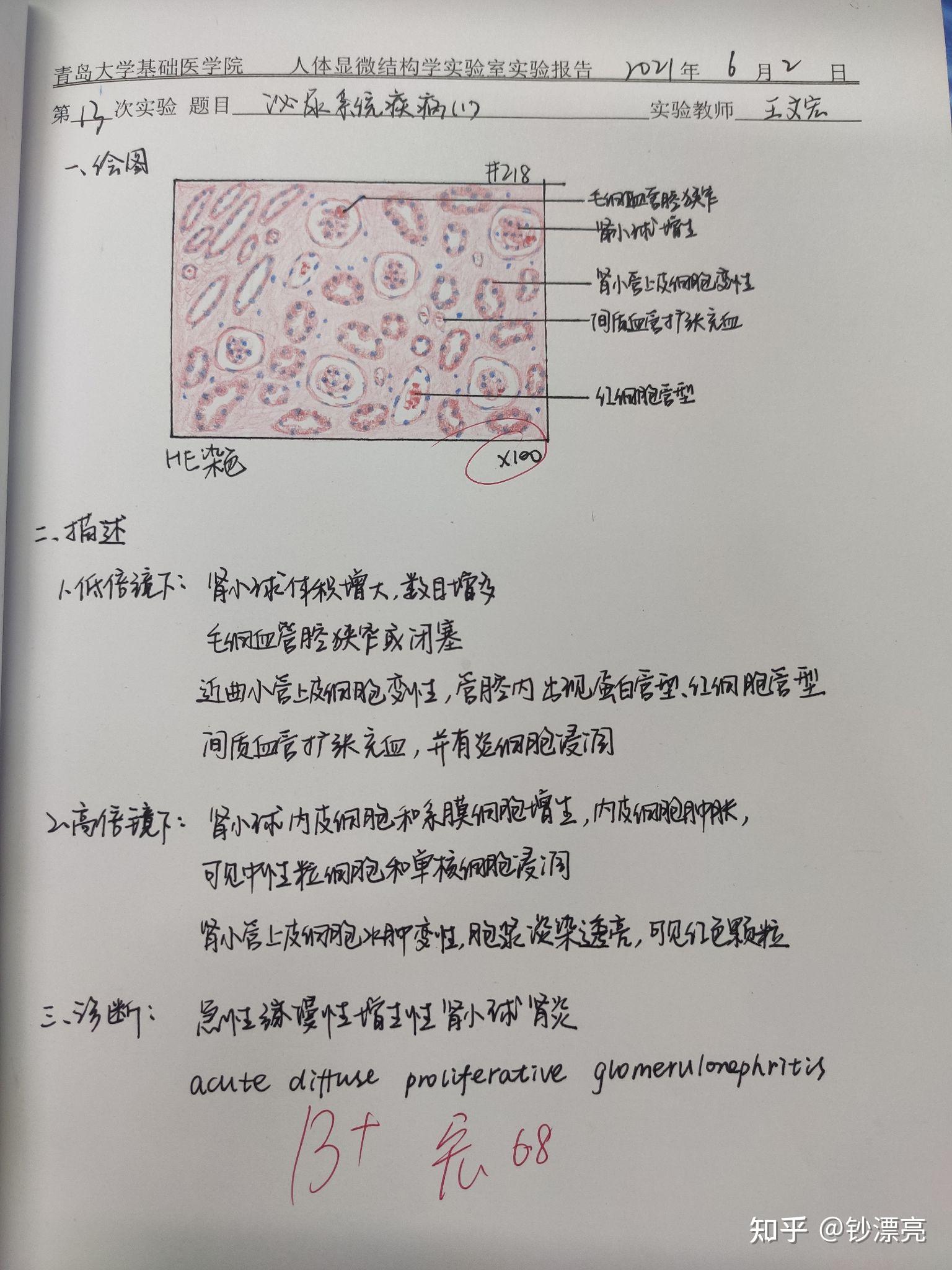 病理学实验报告