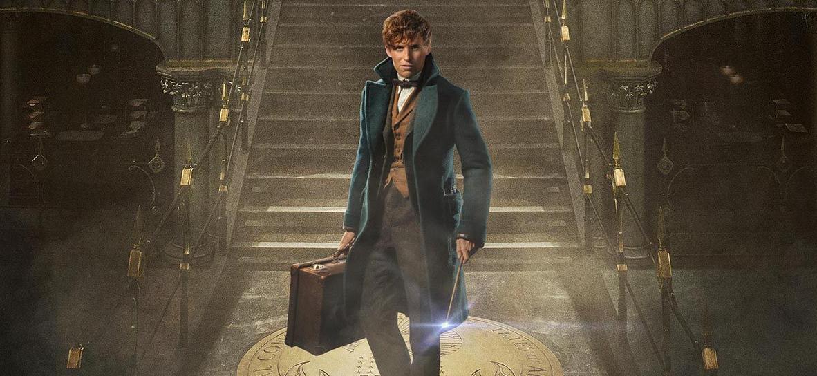 神奇动物在哪里1 zhuanlan.zhihu.com