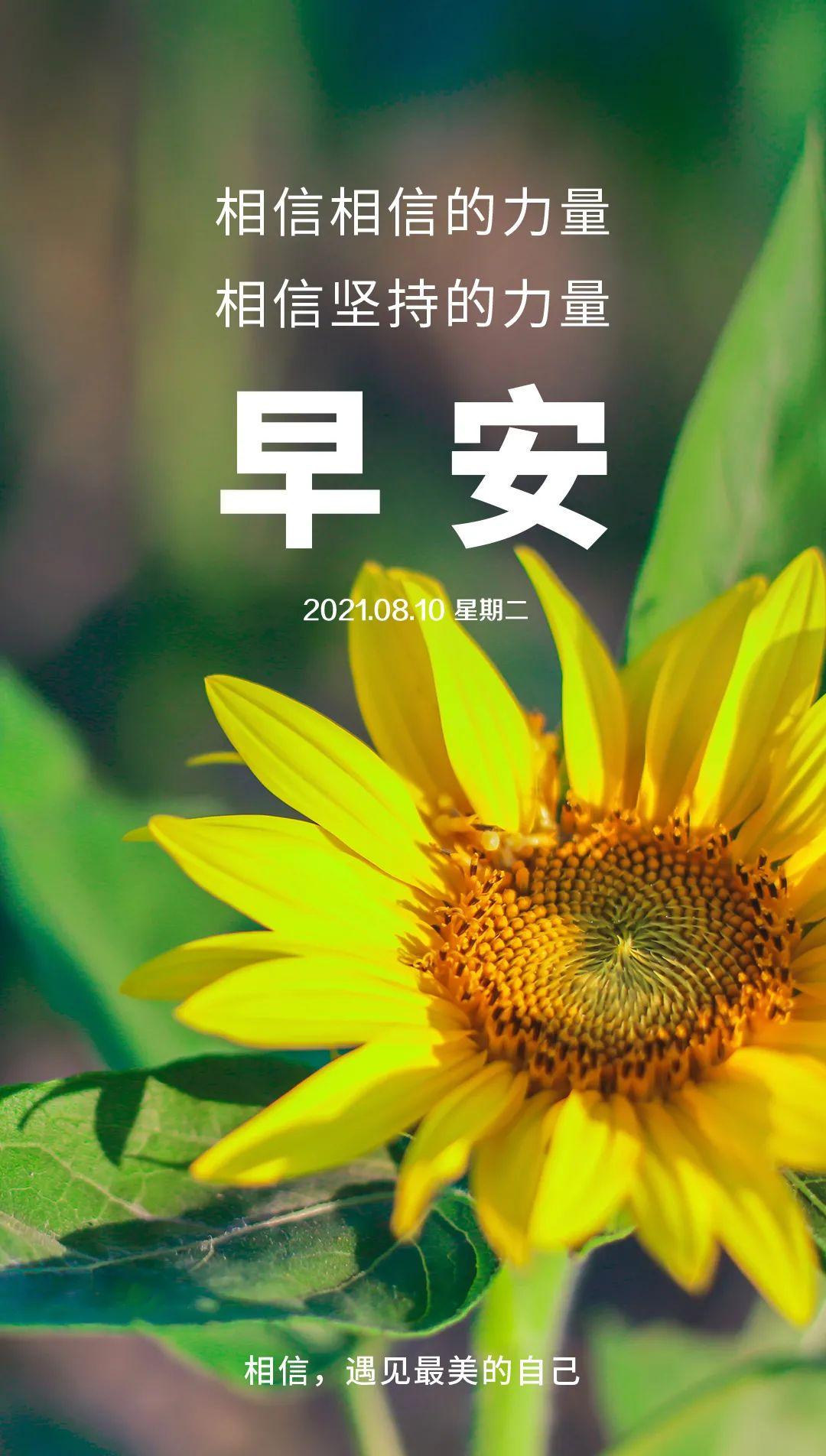 8月10日早安心语正能量阳光语录说说清晨发朋友圈的好看早安图片正