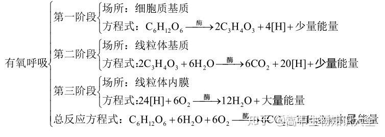 高中生物中出现的元素/离子/反应式相关知识汇总