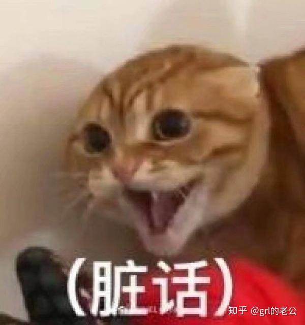 电音叫土嗨,土嗨叫流行,吵的我脑仁疼 各大国语榜单热搜全是抖音快手