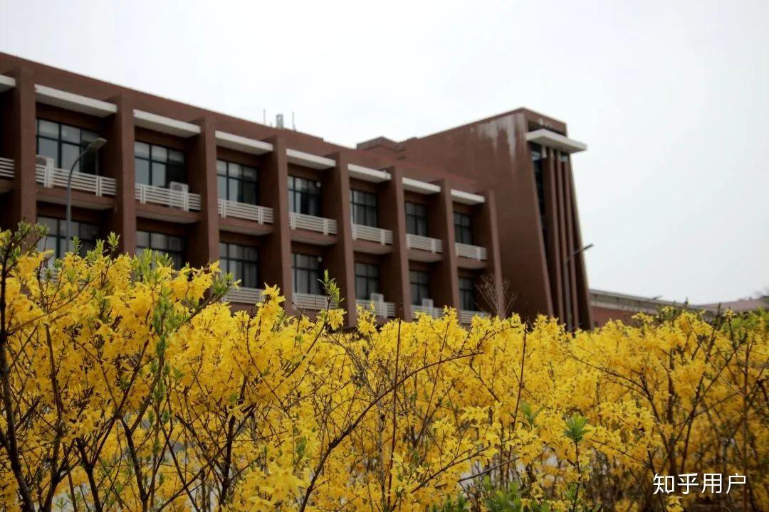 青岛理工大学为什么排名一直很低