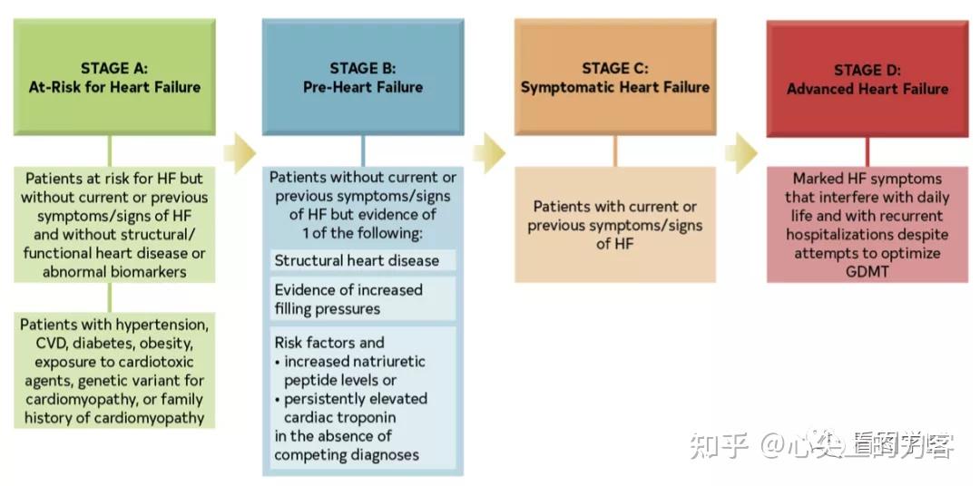 心衰的分期和分型 知乎