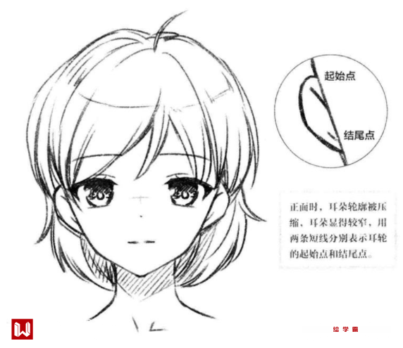 漫画的耳朵怎么画简单?漫画学习基础教程!