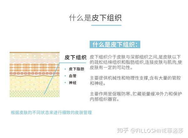 【皮下组织 皮下组织介于皮肤与深部组织之间,是皮肤以下的输送结缔