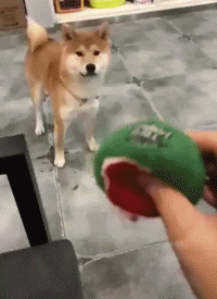 哪些表情包让你看一次笑一次?