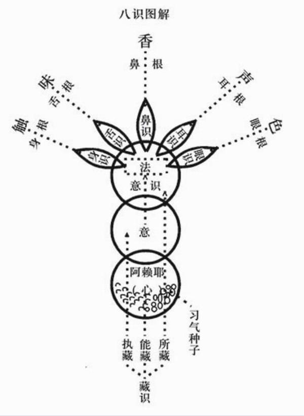 它的道理很深,只能从浅易的分析八识作用的互相关系,将八识归纳为一简