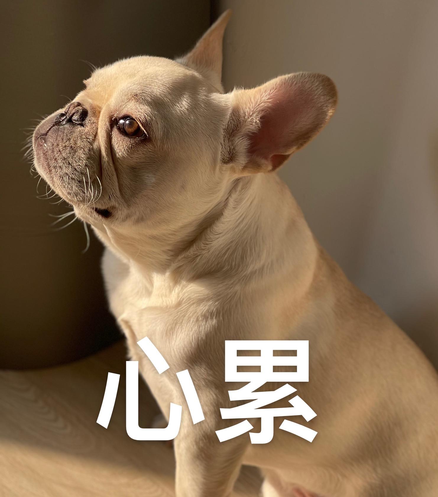 "心累"千万别说 my heart is tired,老外听到会被吓死