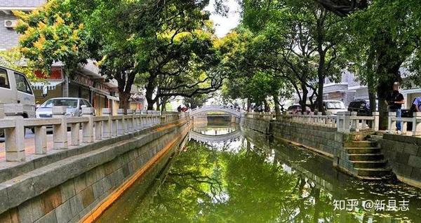 顺德陈村镇:2000年的花卉史,沉寂的岭南水乡,三字经文化的逆袭
