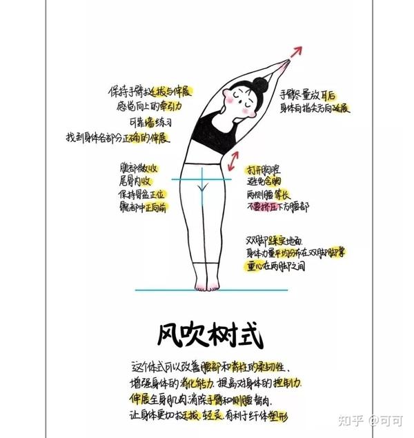 仅仅靠拉伸就能长高!