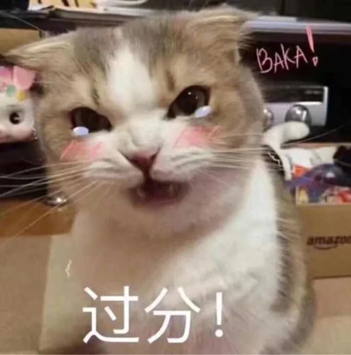 有哪些一本正经的沙雕句子?