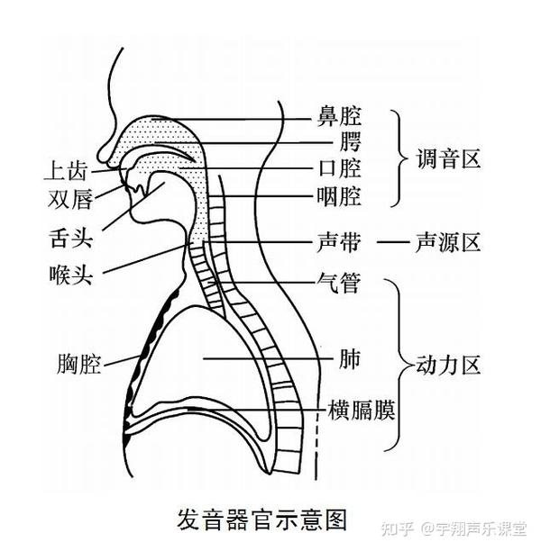 【唱歌不迷路】声乐教学如何正确练声